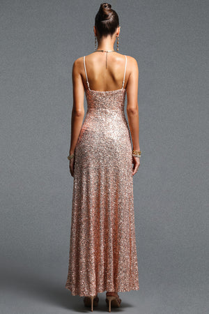 Natalia Sequin Maxi Dress