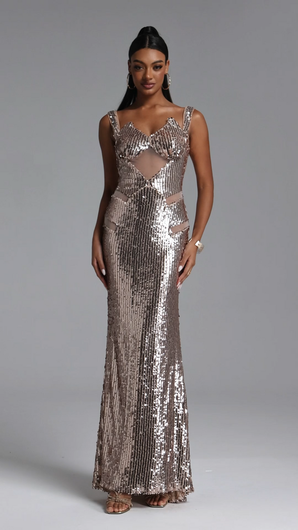 Constance Sequin Maxi Dress