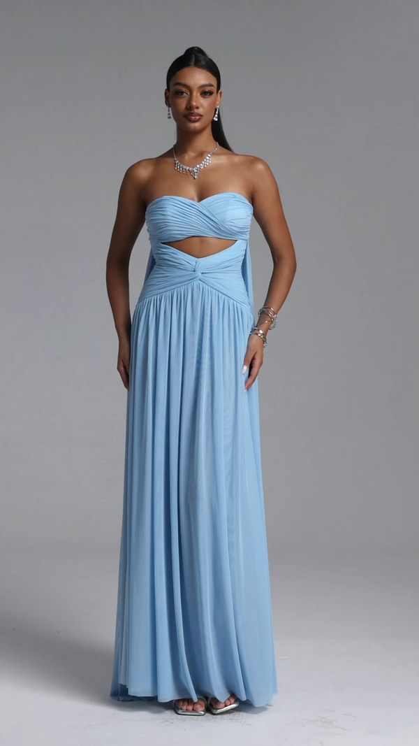 Colombe Mesh Maxi Dress