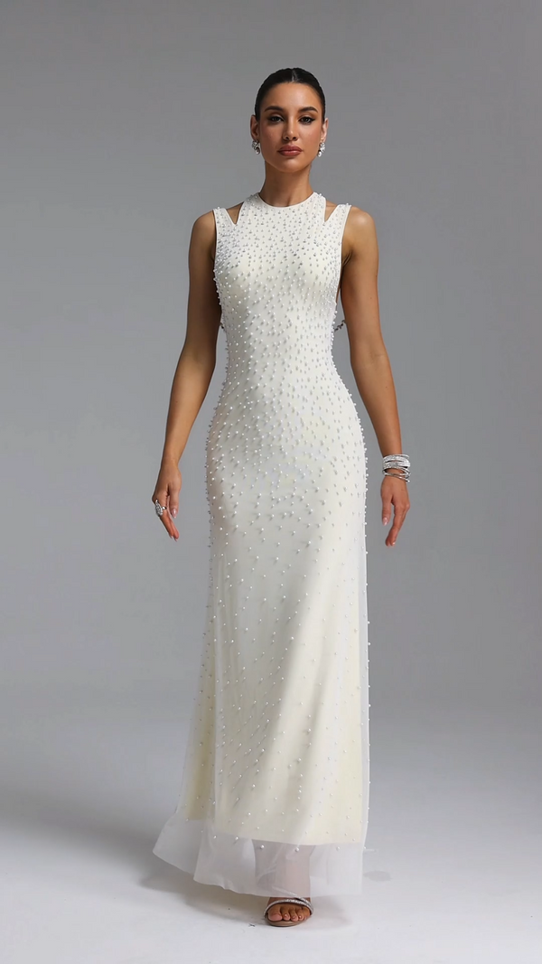 Ameline Mesh Maxi Dress