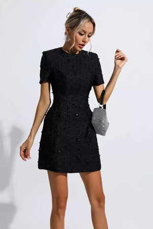 Finicia Jacquard Mini Dress Winteres