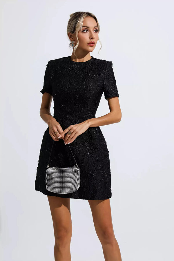 Finicia Jacquard Mini Dress Winteres