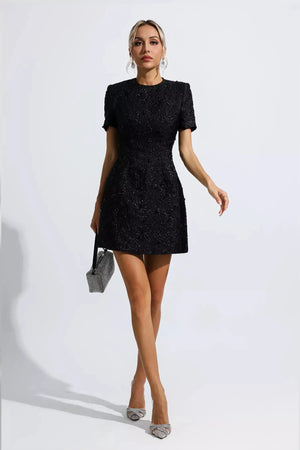 Finicia Jacquard Mini Dress Winteres