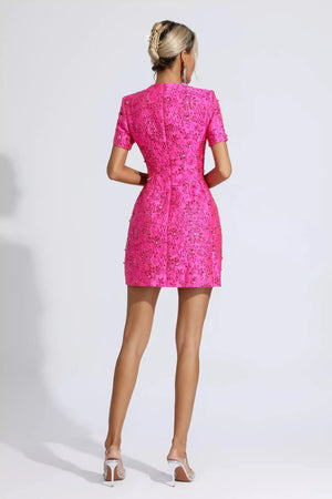 Finicia Jacquard Mini Dress Winteres