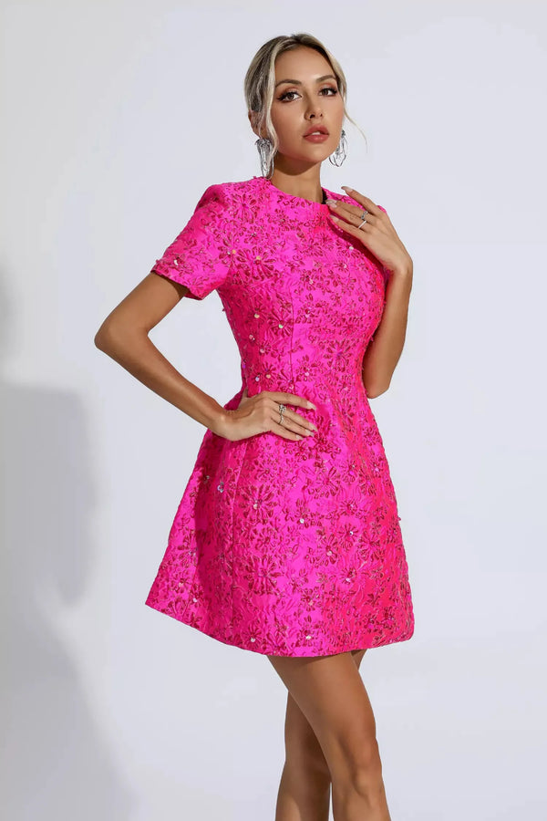 Finicia Jacquard Mini Dress Winteres