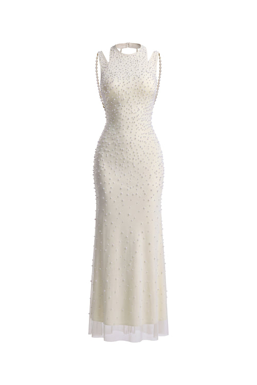Ameline Mesh Maxi Dress