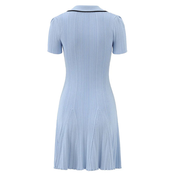 Astree Collared Knit Mini Dress | WINTERES