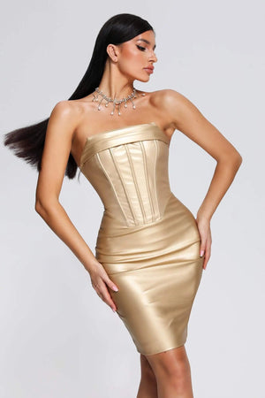 Hanett Mini Dress Winteres