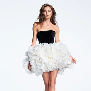 Amanda Mini Dress Winteres