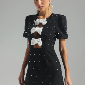 Siri Mini Dress Winteres