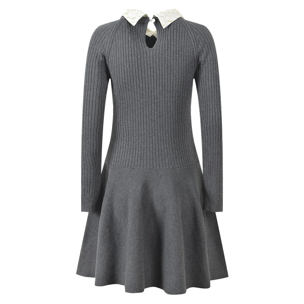 Daphne Collared Knit Mini Dress | WINTERES