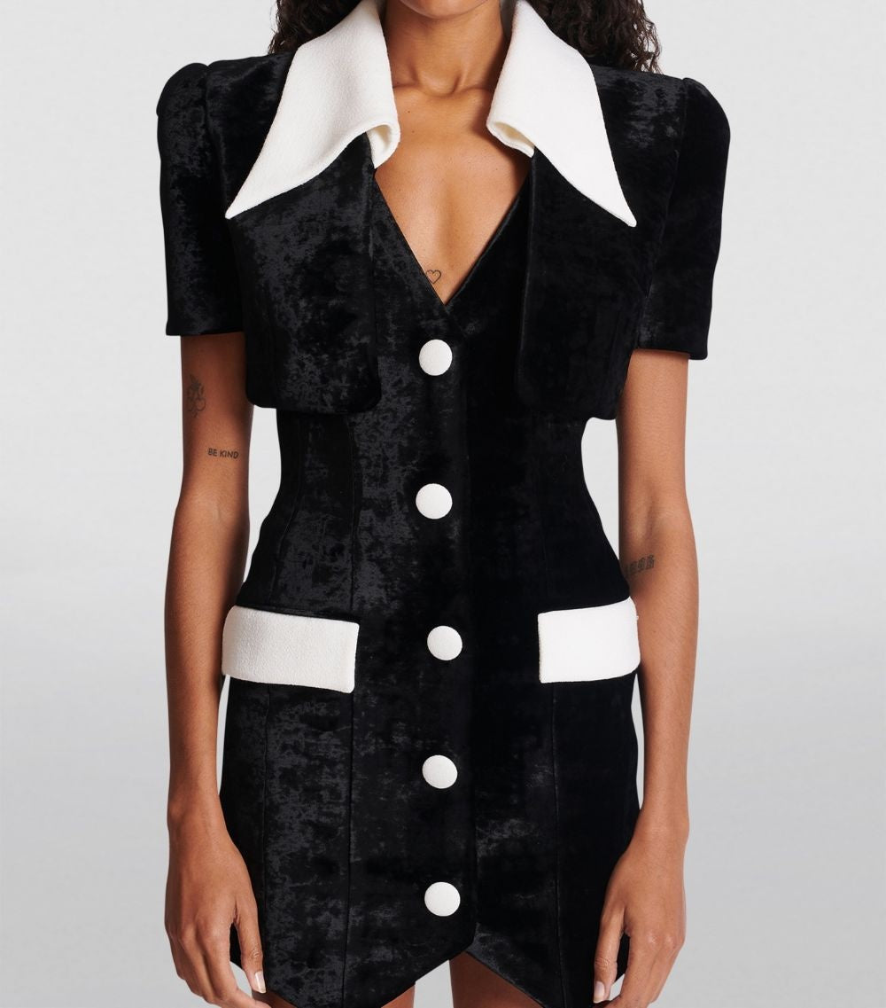 Anna Mini Dress Winteres